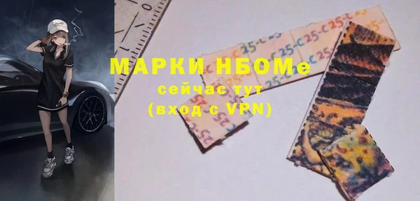 шишки Верхний Тагил