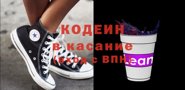 шишки Верхний Тагил