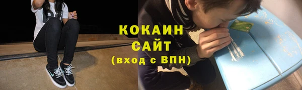 шишки Верхний Тагил