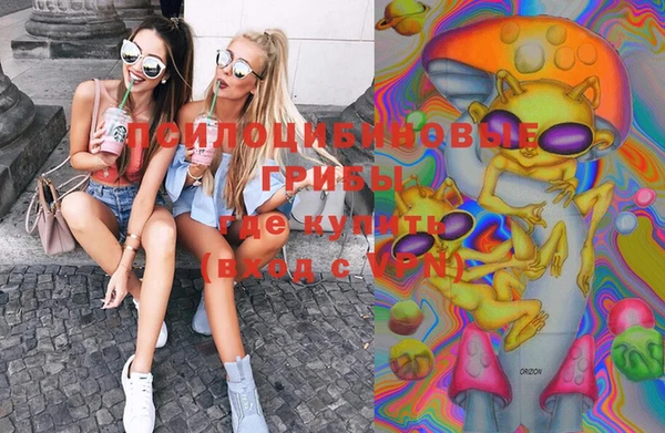 шишки Верхний Тагил