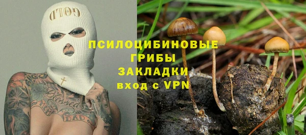 шишки Верхний Тагил