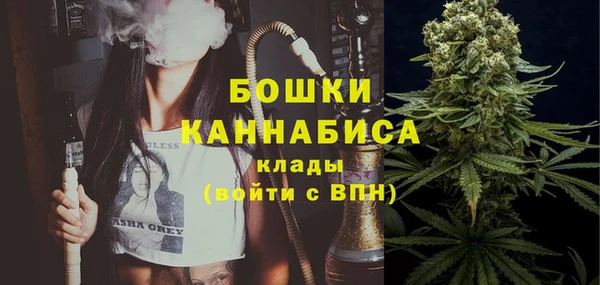 шишки Верхний Тагил